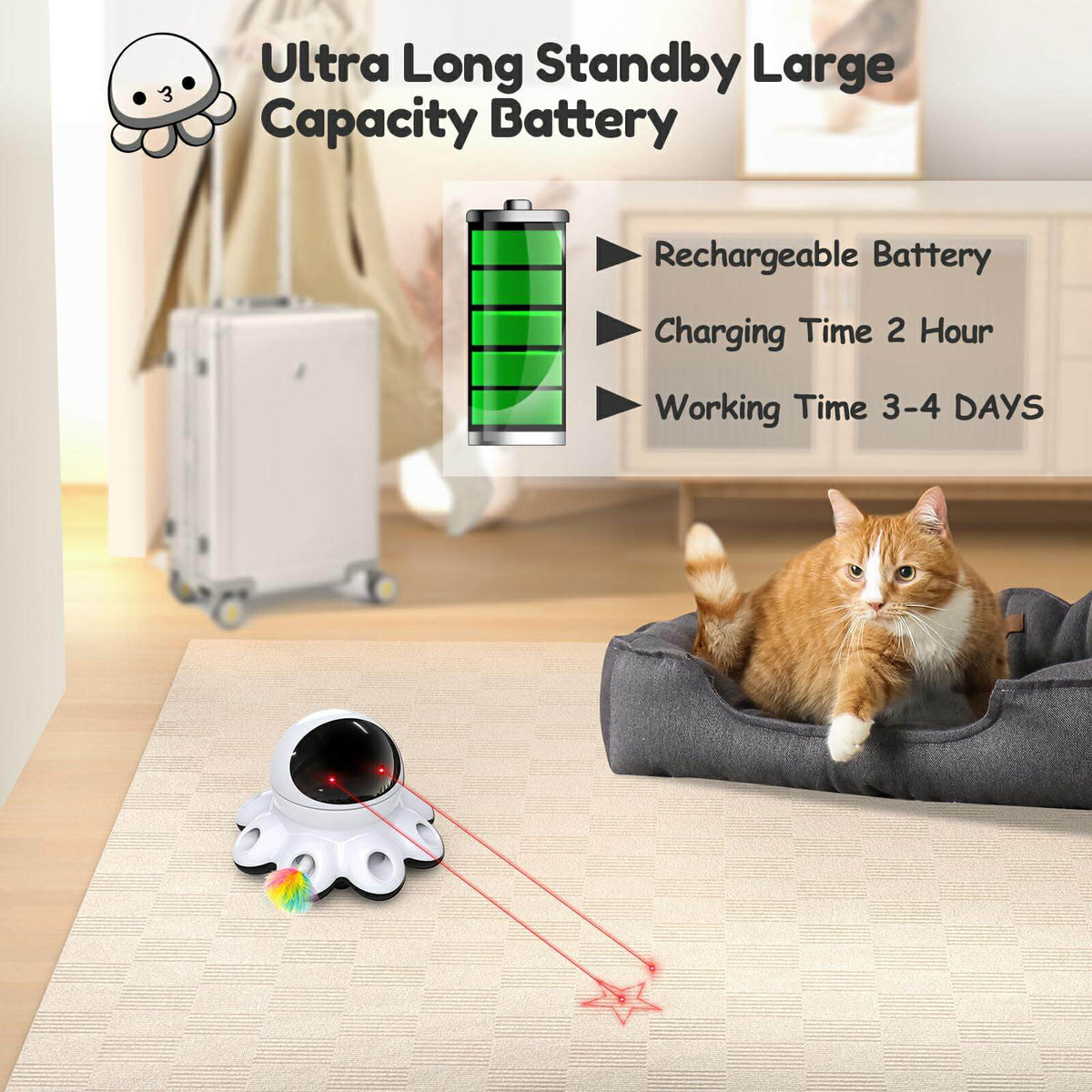 2-in-1 Interactive Cat Laser Toys-ORSDA