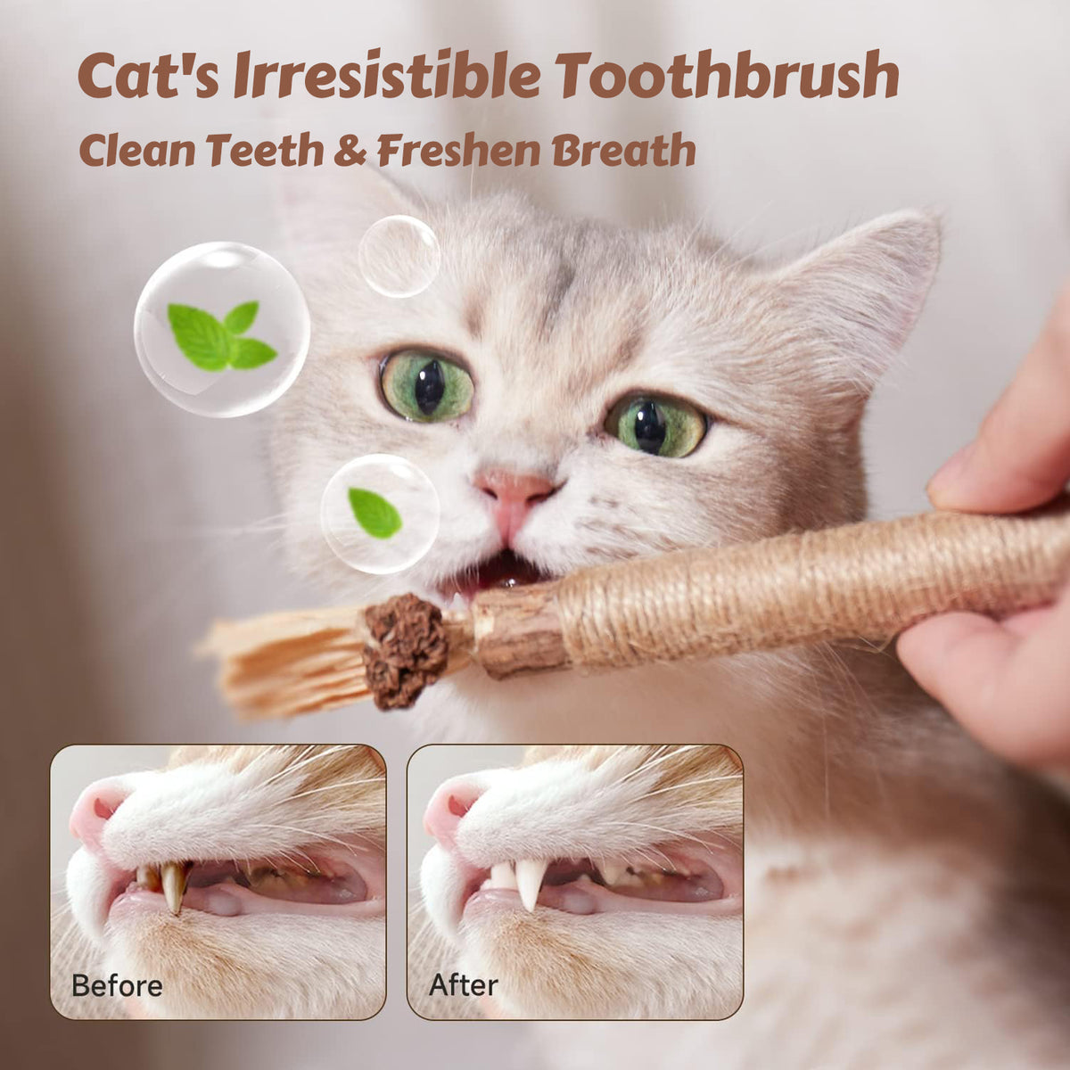 Natural Silvervine Sticks Cat Toys