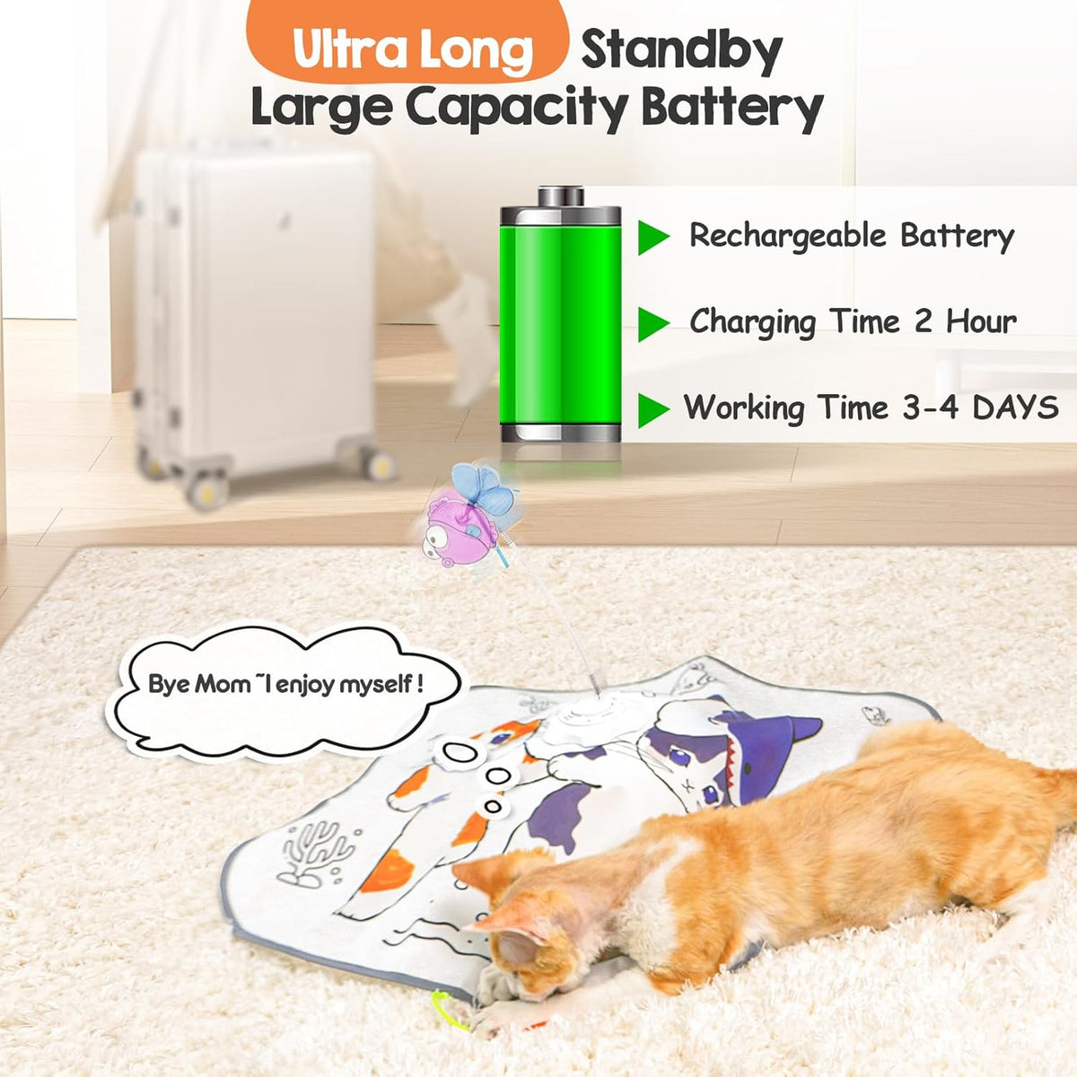 5-in-1 Interactive Cat Toy