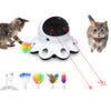 2-in-1 Cat Laser Toys