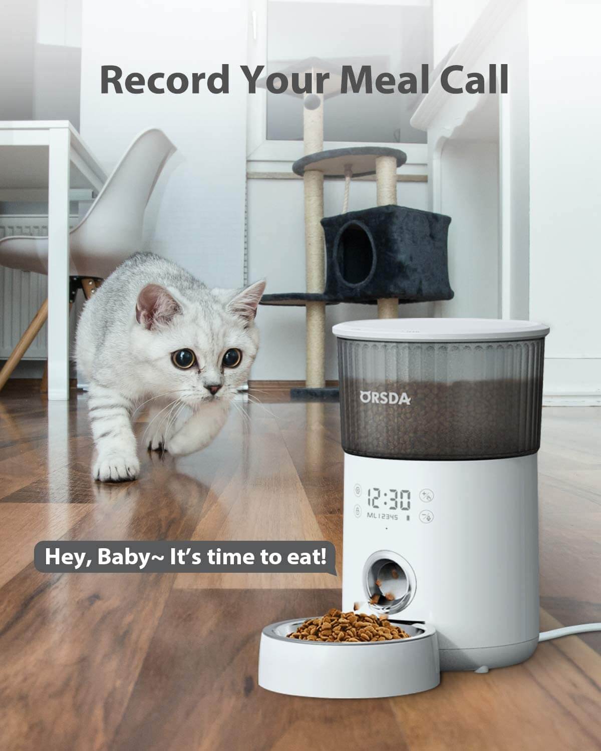 3L Automatic Cat Feeders, SUS304 Stainless Steel Automatic Dog